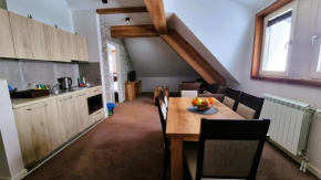 FEMI 503, Župa Aparthotel, Kopaonik